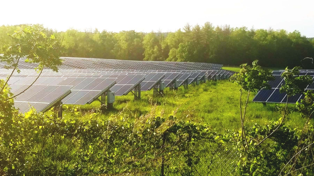solar pannels